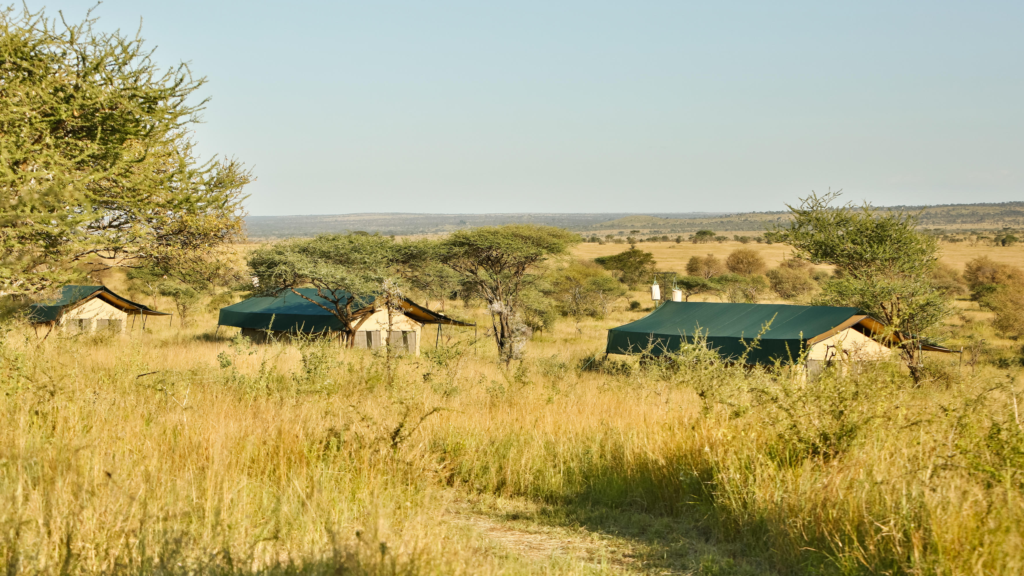 Nyikani Central Serengeti Camp